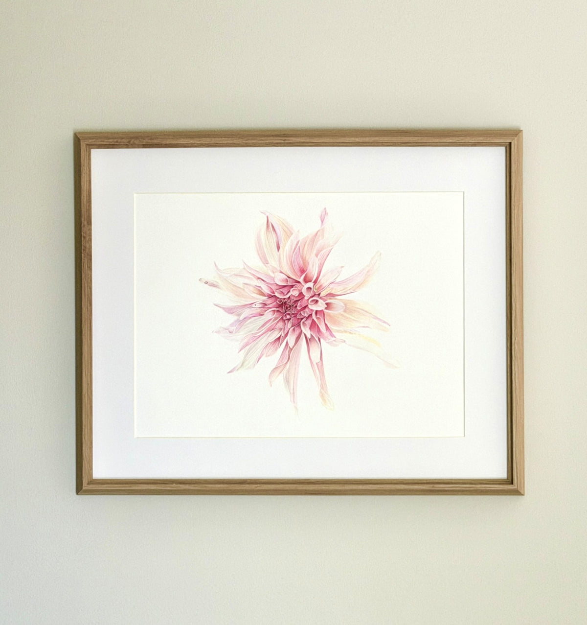 Dahlia