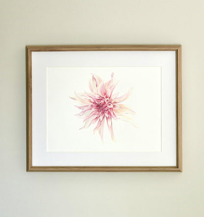 Dahlia