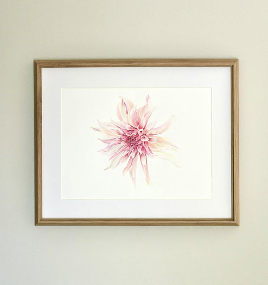 Dahlia