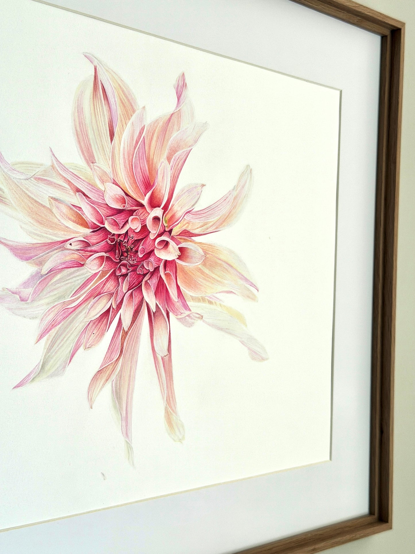 Dahlia