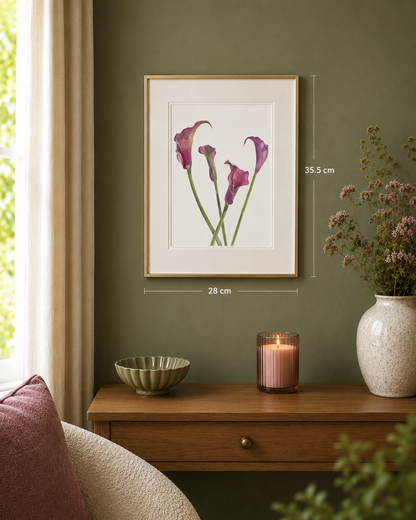 Dance of the Calla Lilies