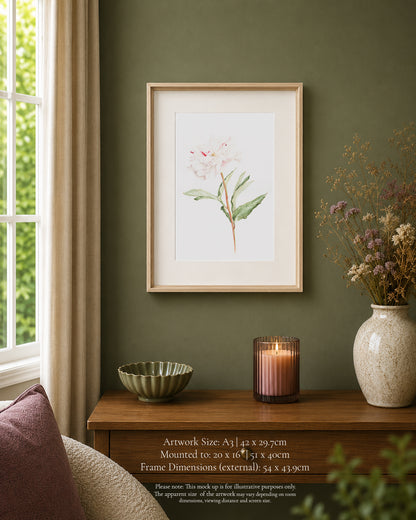 Peony